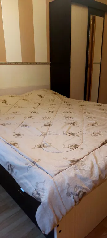 Квартира Квартира в 300 метрах от Янтарь холла — Светлогорск