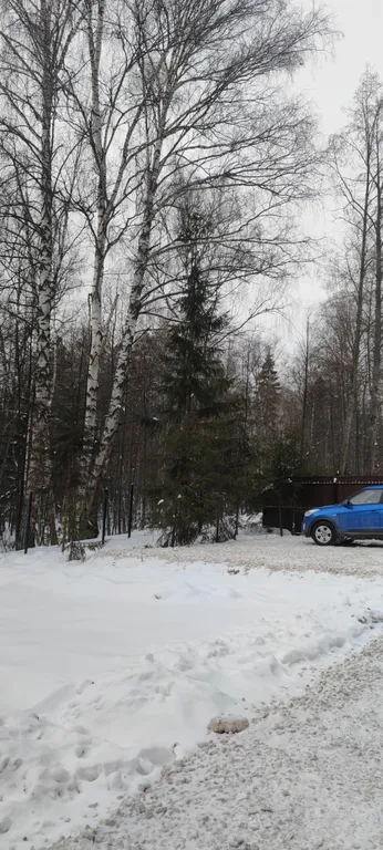 Коттедж Уютный дом в лесу — Казань