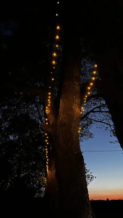 Уютный домик в древних липах