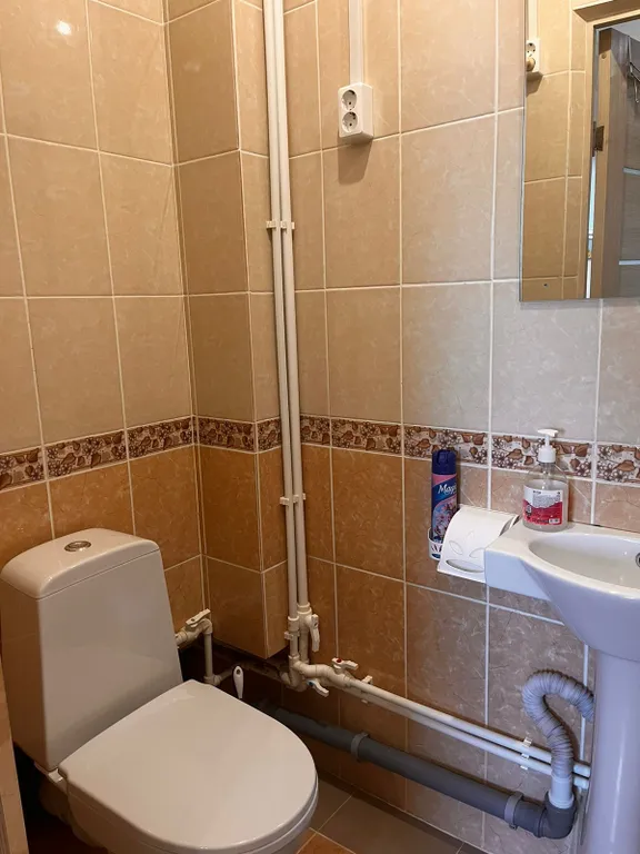 Квартира 1-комнатная Квартира — Луга