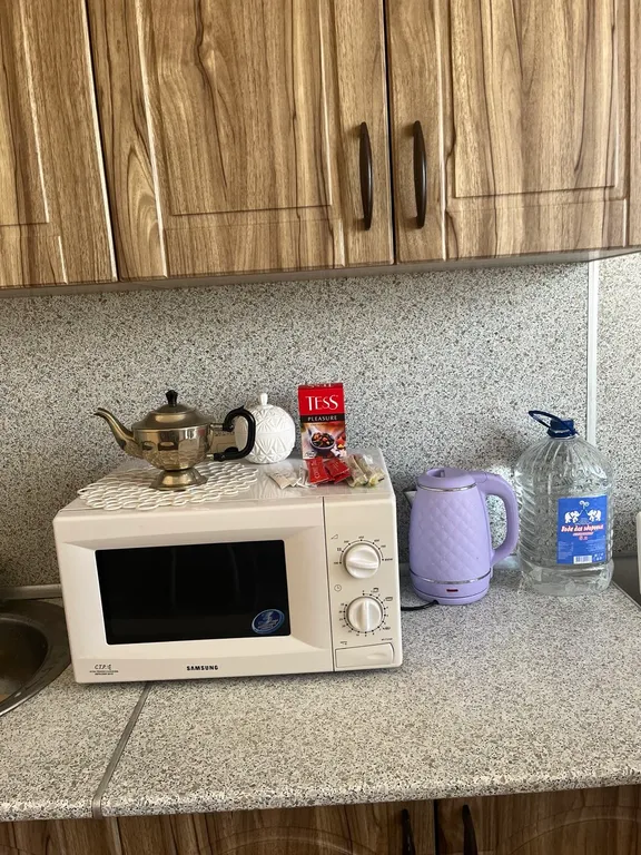 1-комнатная Квартира — аренда посуточно в Придорожный