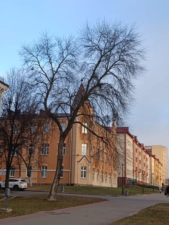 Современная квартира в старинном доме