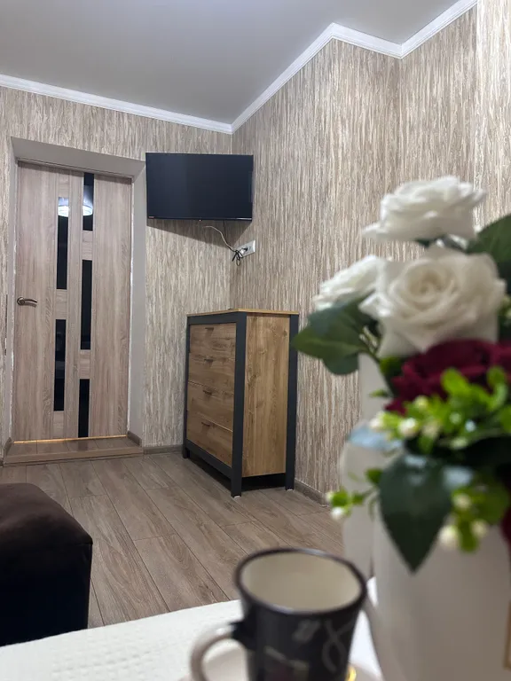 Шикарная Евро квартира Парк