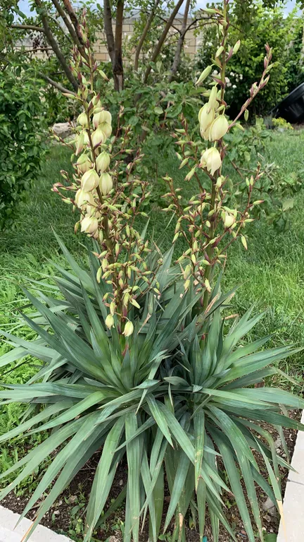 Семейные апартаменты. Вилла с беседкой на Киловой горе. 3 этаж