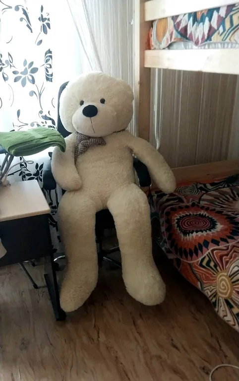 Квартира в новом доме с медведем