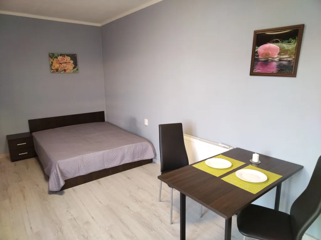 Квартира Уютная студия около станции Сходня — аренда посуточно в Химки