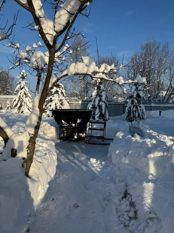 Большой дом с русской баней на дровах и чаном в Зелёном городе