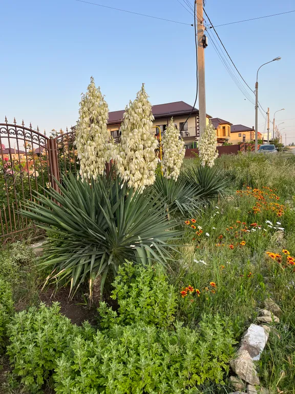 Тихий райский уголок