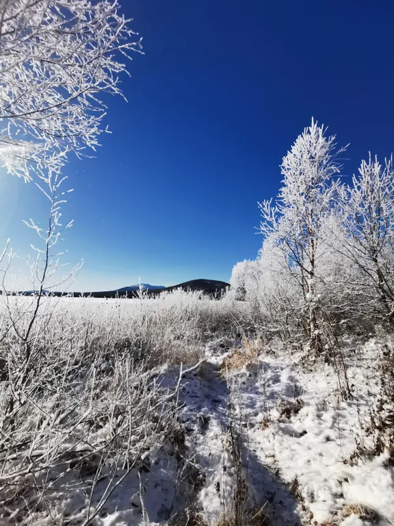 Домик с видом на озеро