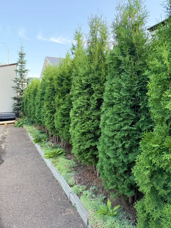 Коттедж Гостевой дом Мотель на Ромашек — Казань