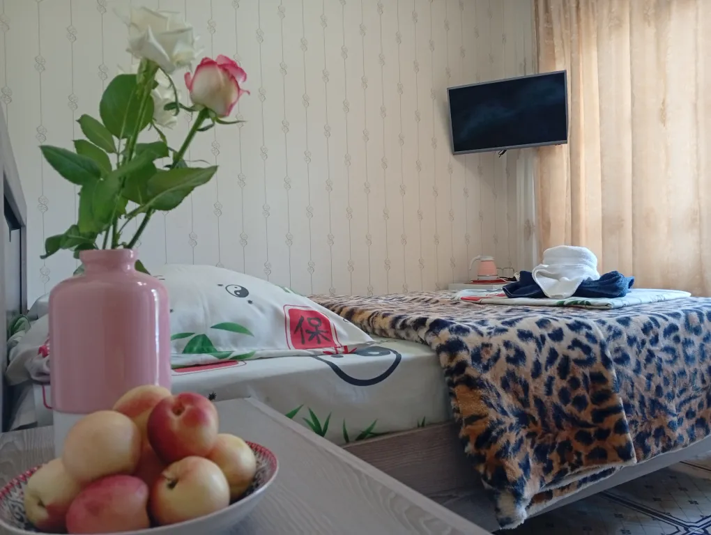 Квартира Комната — аренда посуточно в Адлер