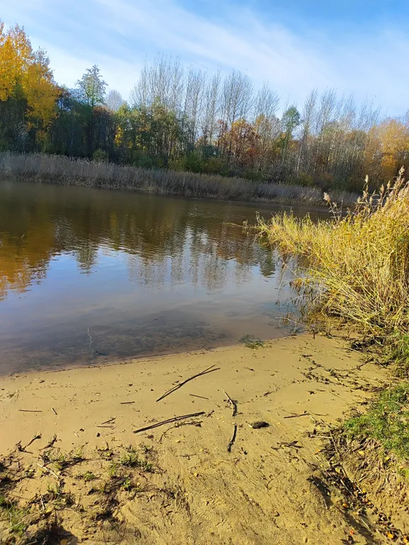 Кобона Ладога Коттедж с баней у воды