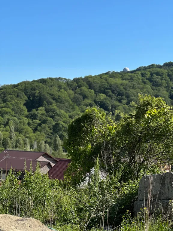 Коттедж Дом в лесу с баней и бассейном — Веселое