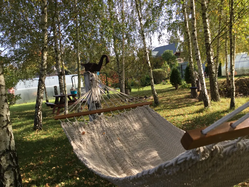 Коттедж Гостевой дом на Истринском водохранилище — Лопотово