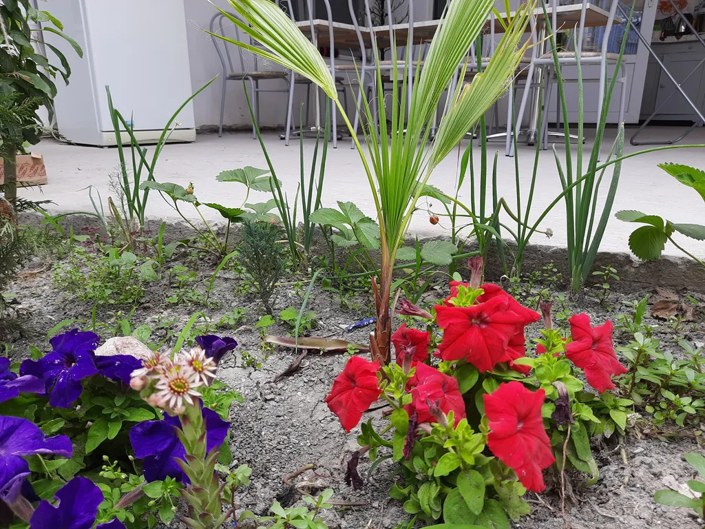 Квартира Комната — Феодосия