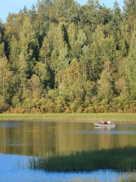 Дом из сруба у воды
