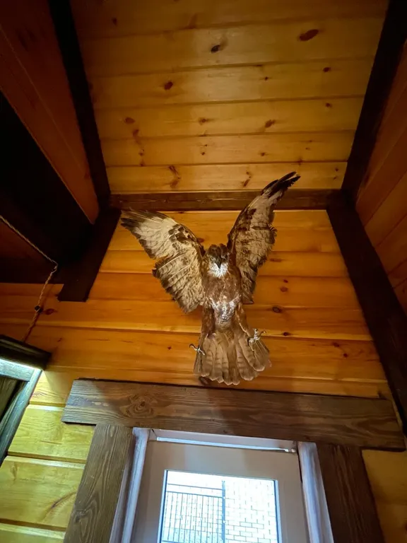 Коттедж в горах