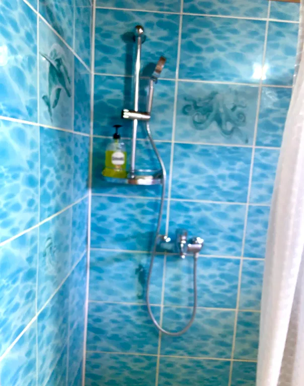 Гостевой дом с баней и бассейном