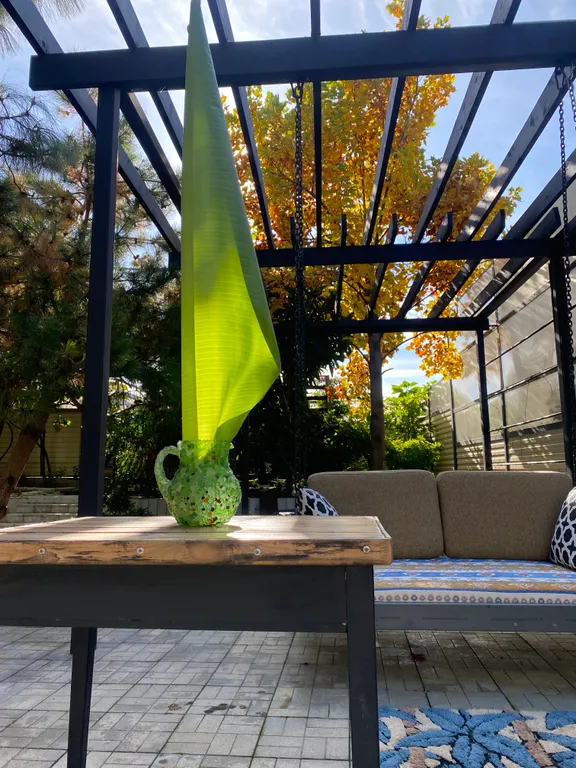 Дом на пляже