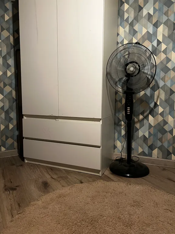 Дом с березовым лесом на участке