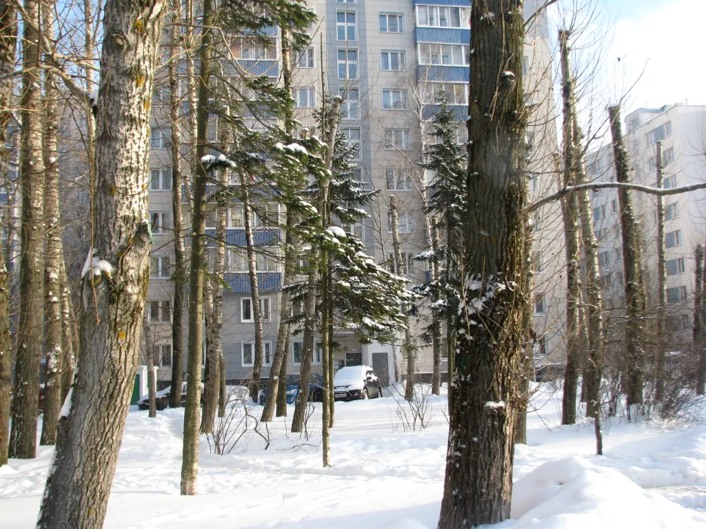 Апартамент Елена