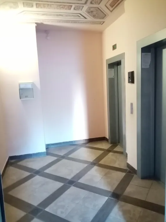 Апартаменты в сосновой роще