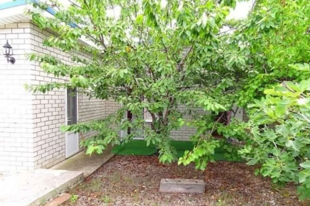 Уютная комната в тихом районе