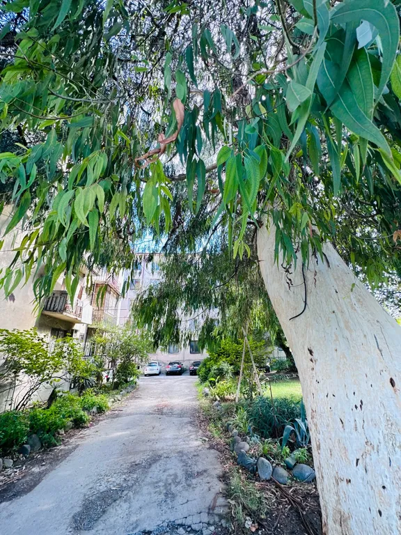 Апартаменты "Матисс" в 300 м от песчаного пляжа,балкон с видом на море