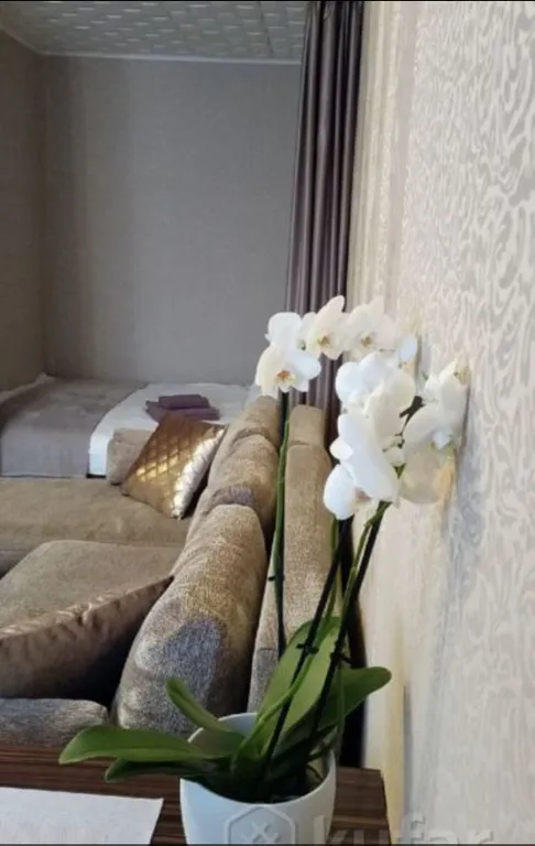 Уютная атмосферная квартира — аренда посуточно в Брест