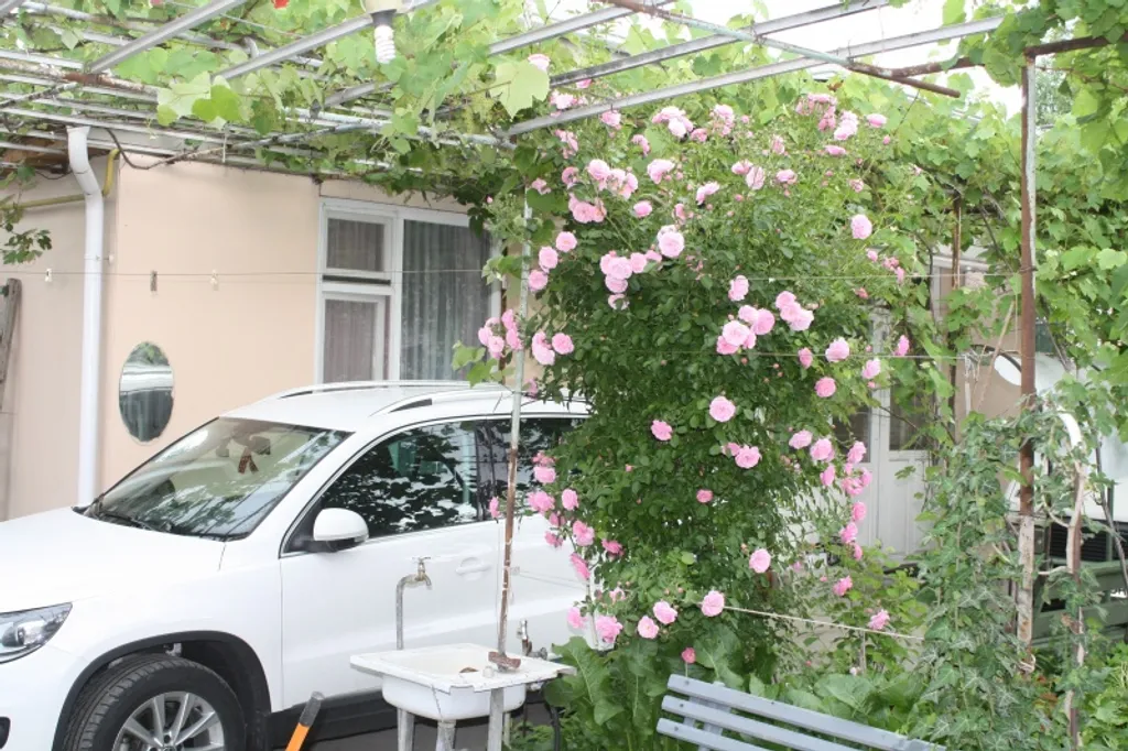 Уютный дом в центре города