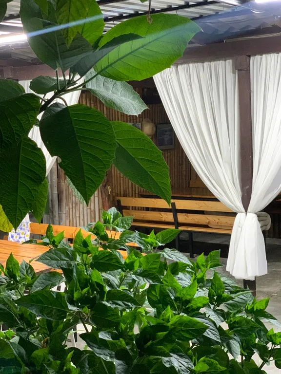 Солнечная Дача