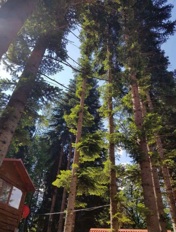 6-комнатный Дом