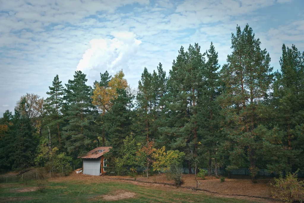 Премиум дом на острове у воды: прогулки, барбекю и полное уединение