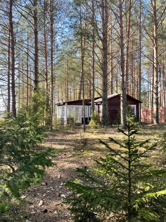 Домик на первой береговой линии озера Селигер