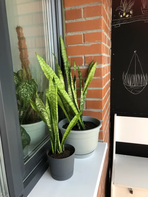 Уютная студия в ЖК Морепарк