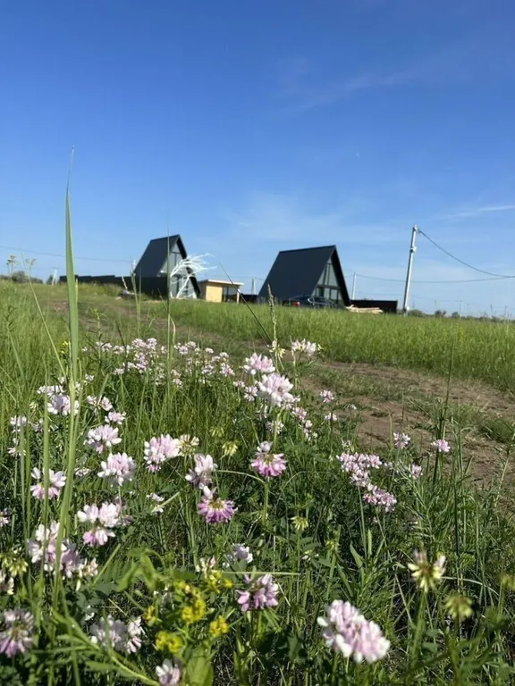 Дом на берегу Волги