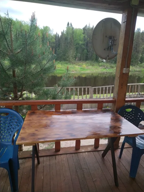 Домики в лесу на берегу реки Волге