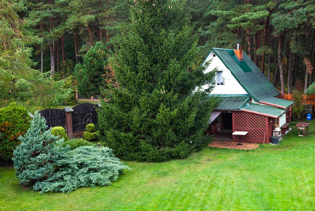 Дом у моря для большой компании