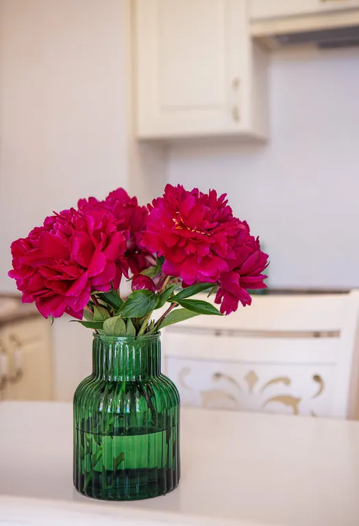 Квартира Апартаменты у моря — Светлогорск