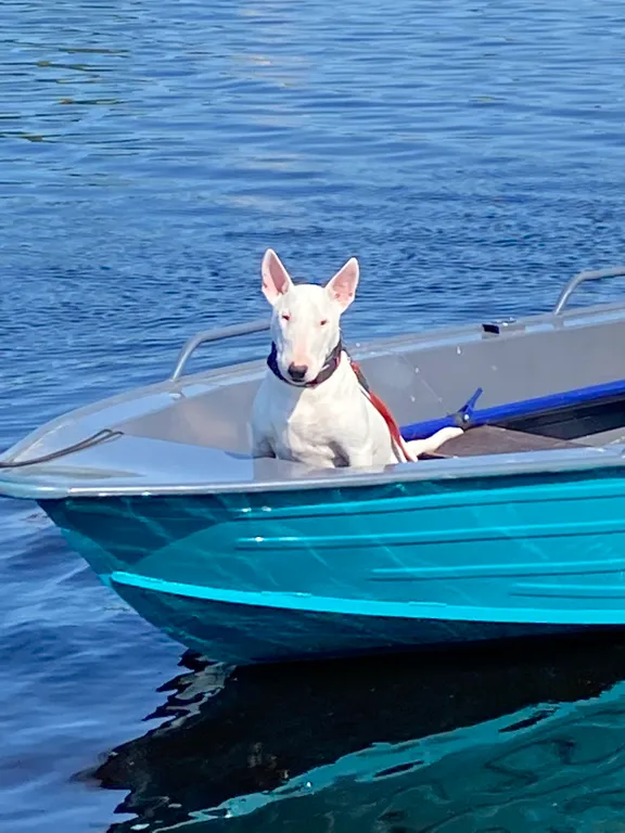 Дом для отдыха от городской суеты