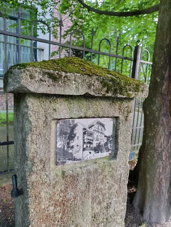 Золотая кисть