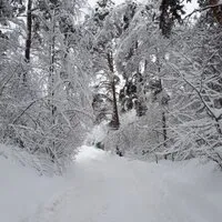 Карина