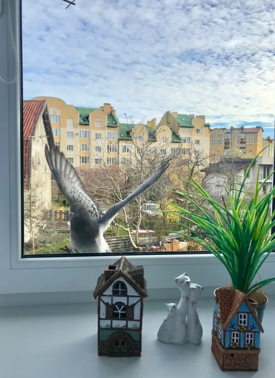 Квартира у моря Александра