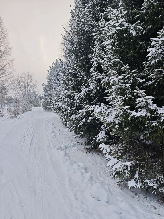 Коттедж Уютный домик на берегу реки — Тверь