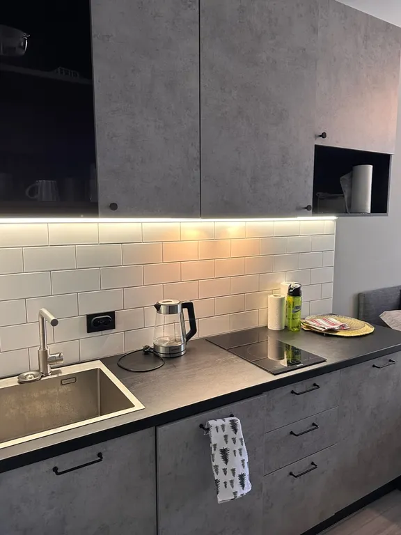 Студия на Новый Год в Курортном районе