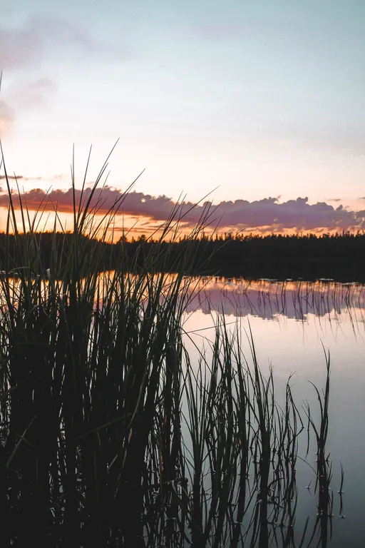 Дом у озера из натурального дерева
