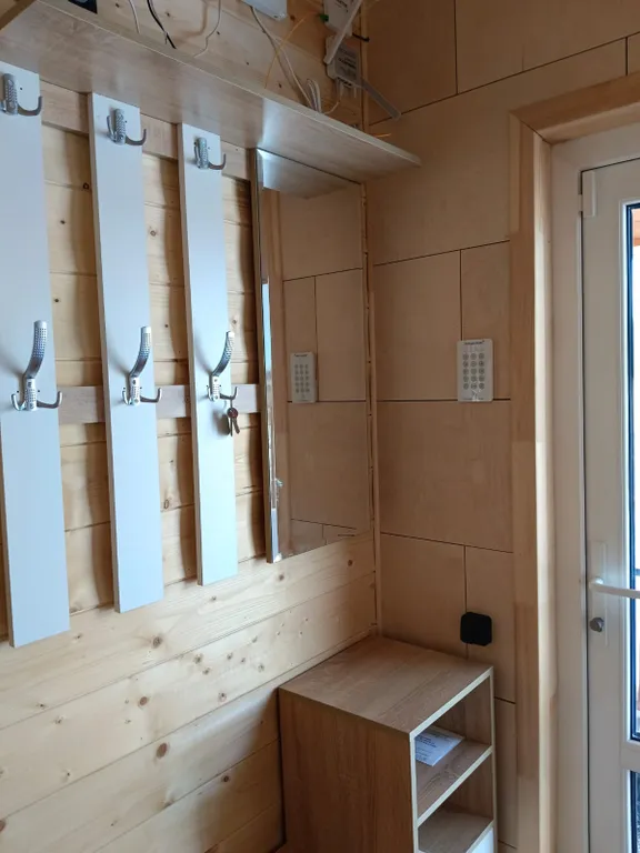 Виноградная лоза