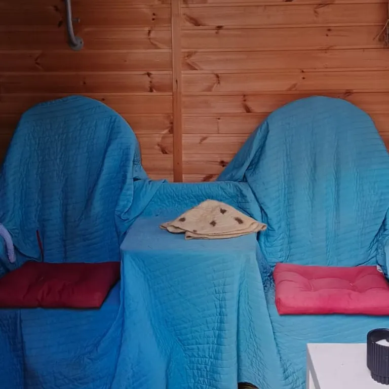 Дом художника