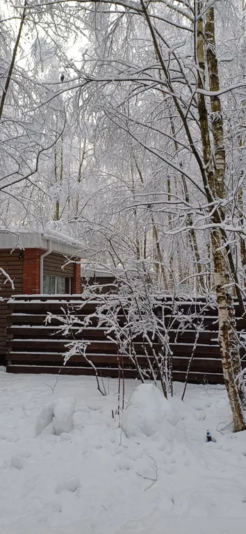Коттедж Дом (С) с сауной и видом на лес — Воскресенское
