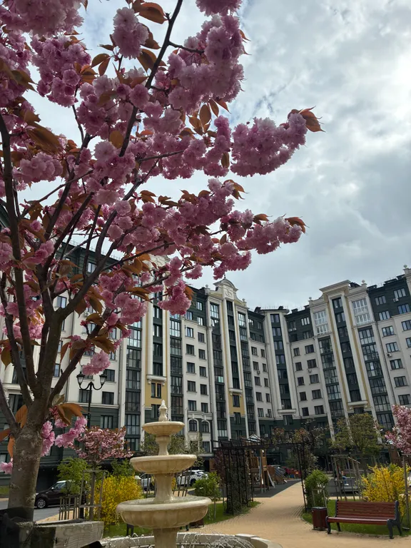 Квартира с видом на лес Куршской косы — аренда посуточно в Зеленоградск